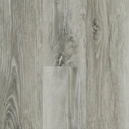 J2 Glacier Oak NT48
