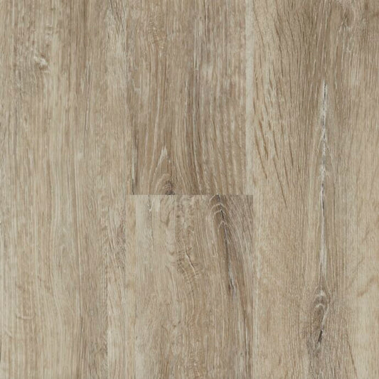 J2 Blonde Oak NT49