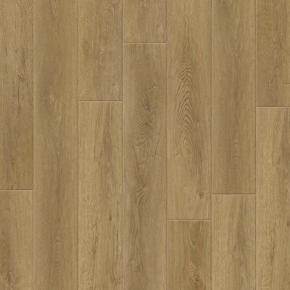 Galloway Plank IC83