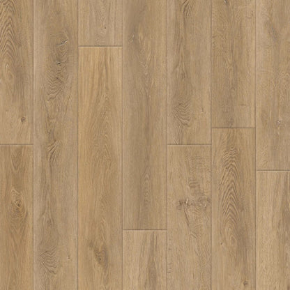 Abernethy Plank IC87